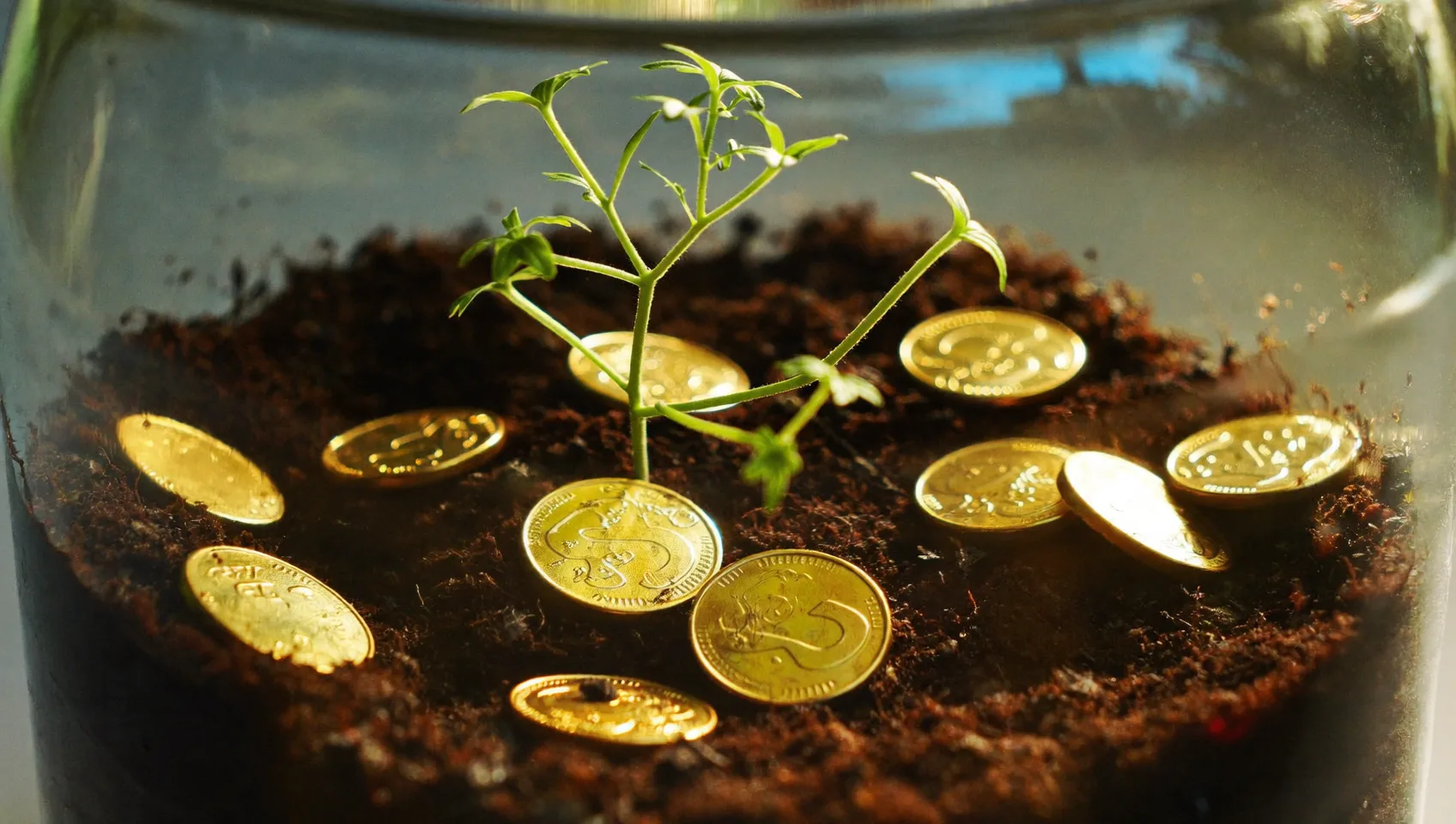 小さな掛金の積み立てが将来の資産へと育っていくイメージ